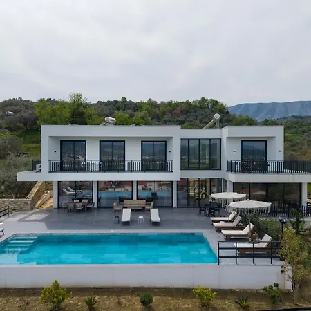 Palma * Berat