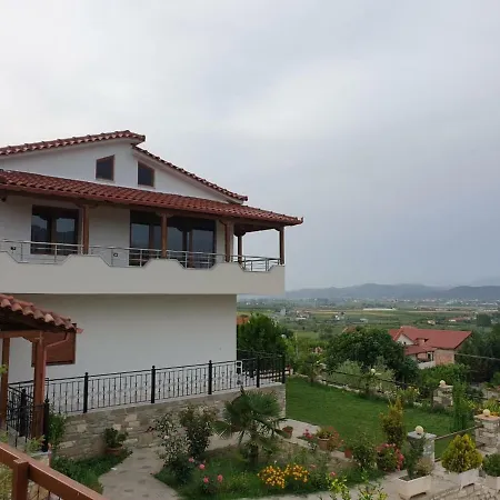 Palma * Berat